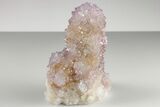 Cactus Quartz (Amethyst) Crystal Cluster- South Africa #187181-1